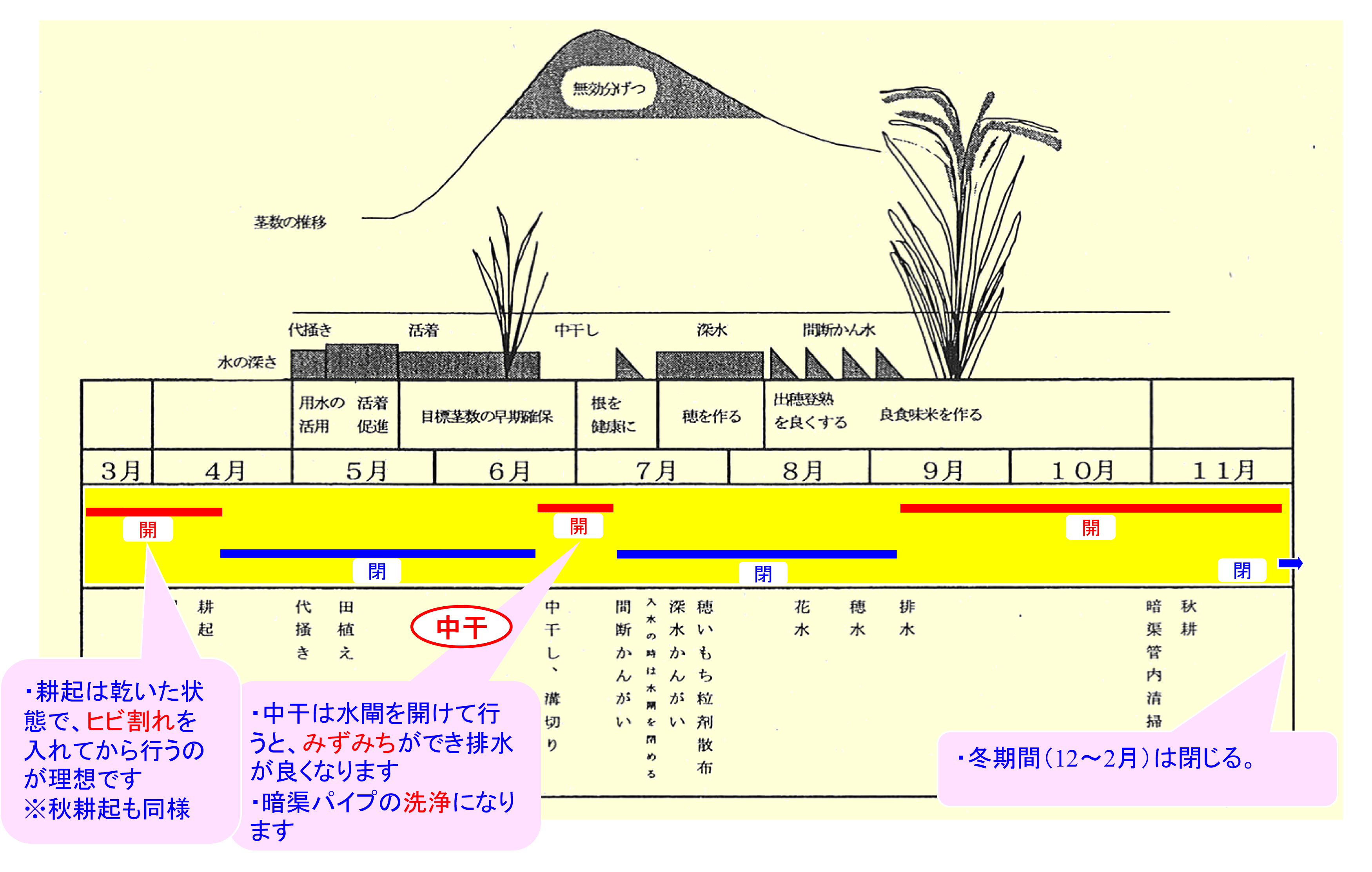 INKkouhouBIMG19