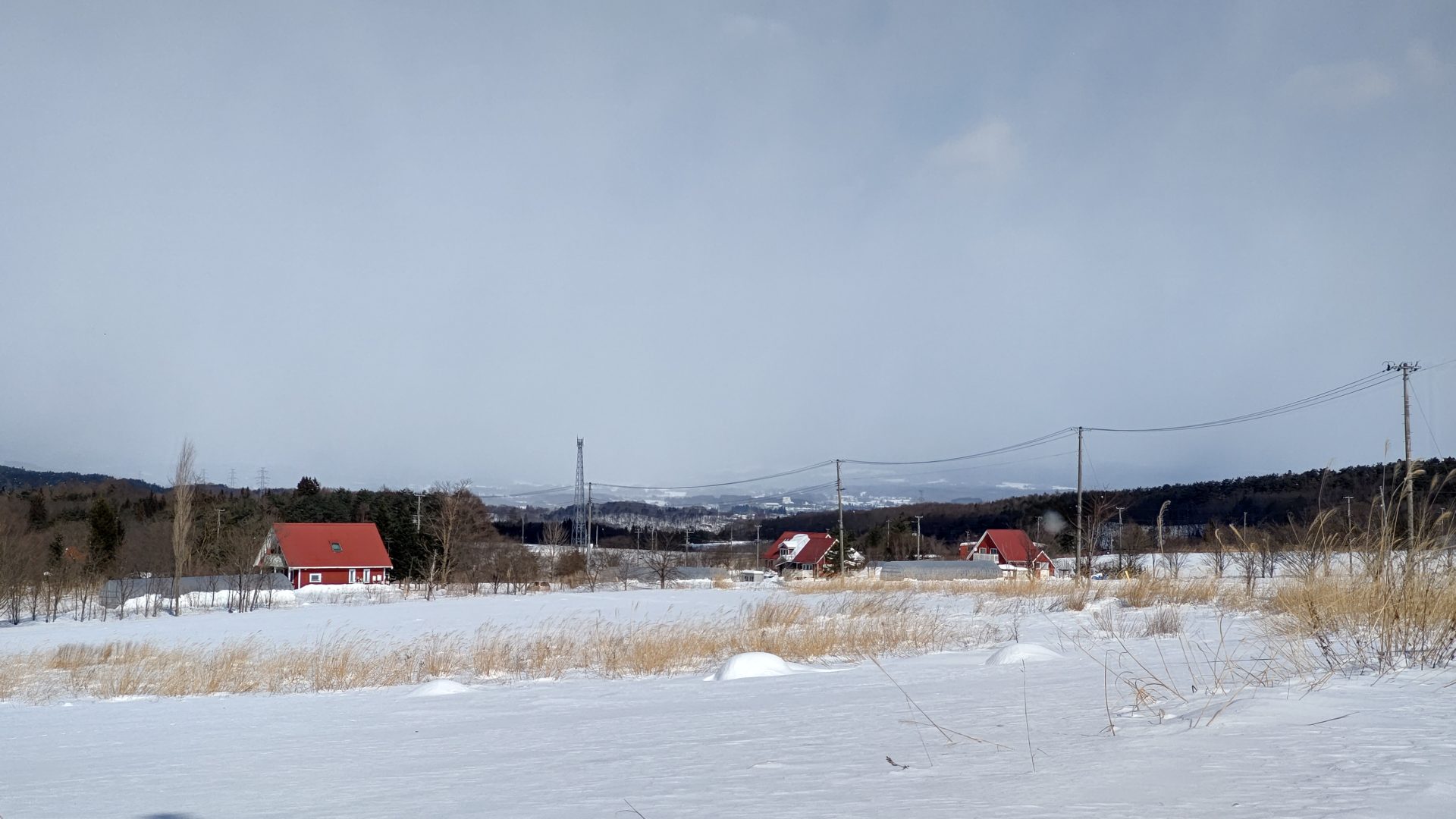 DSC_0699.JPG