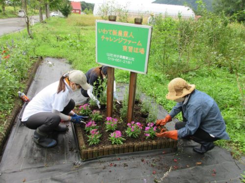 花壇