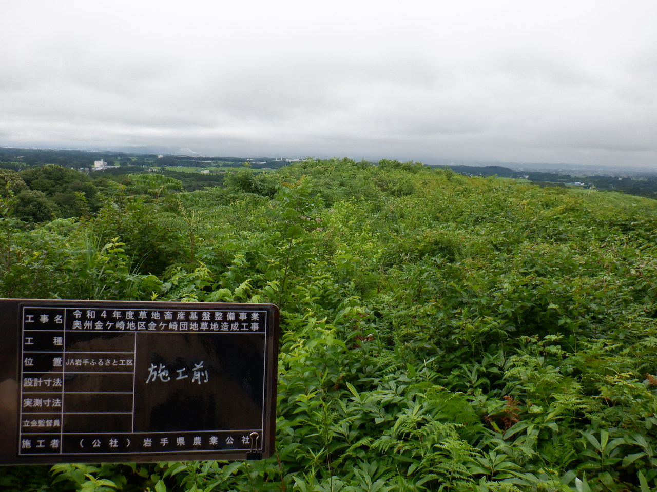 DSCF4679