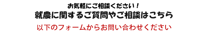 フォーム１