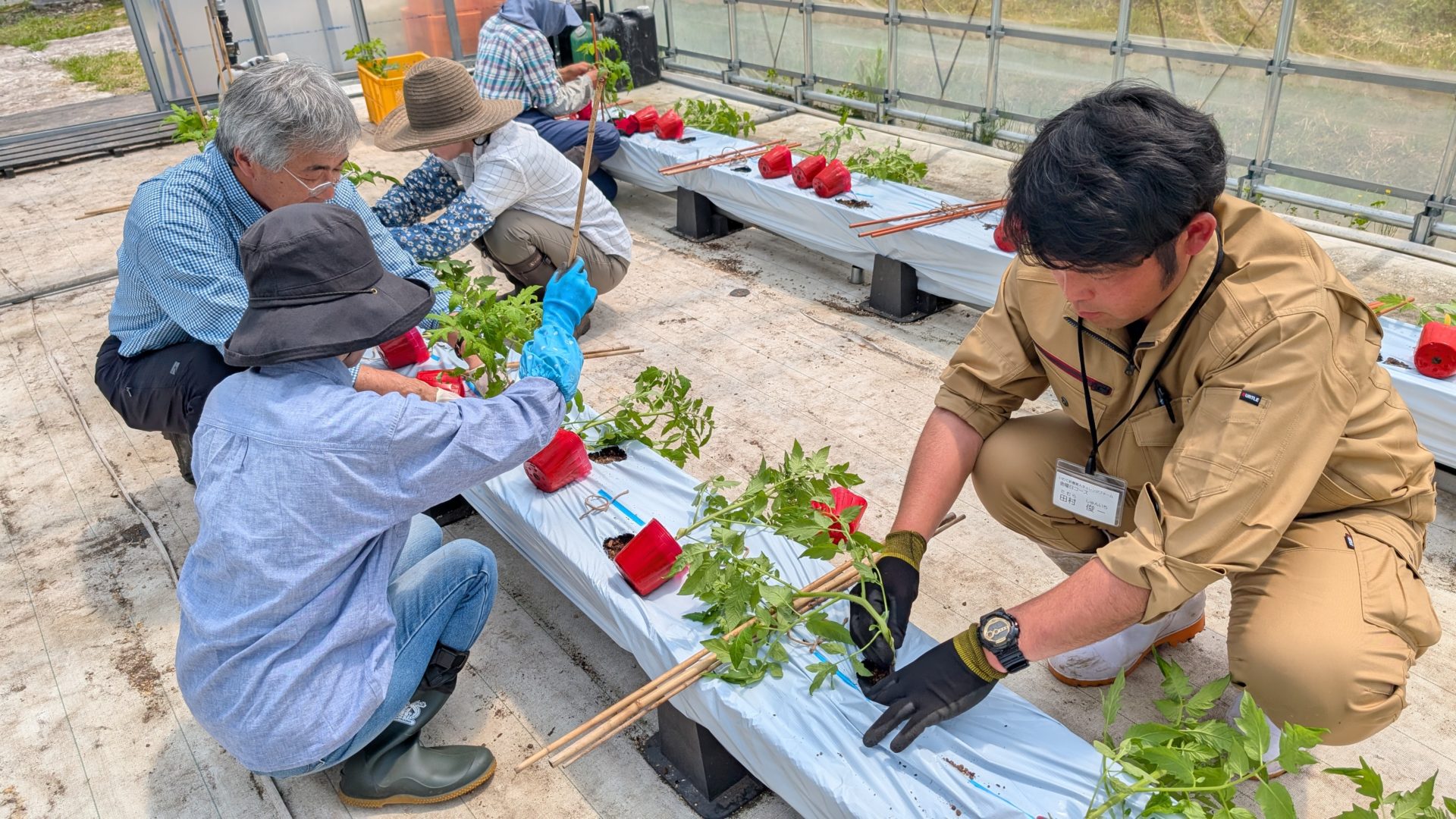 PXL_20250516_015405597