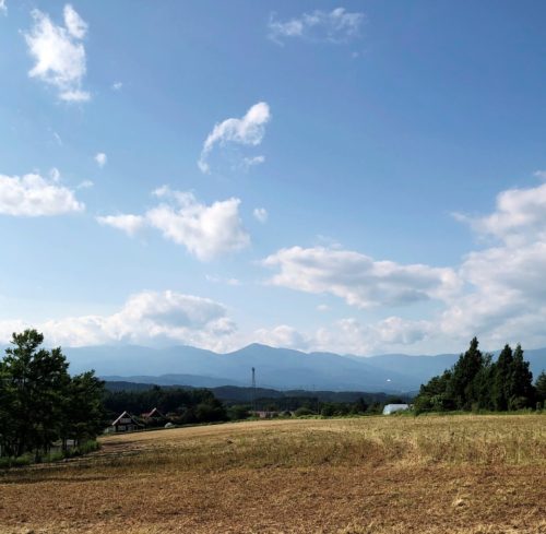 写真⑧