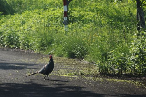 写真⑫