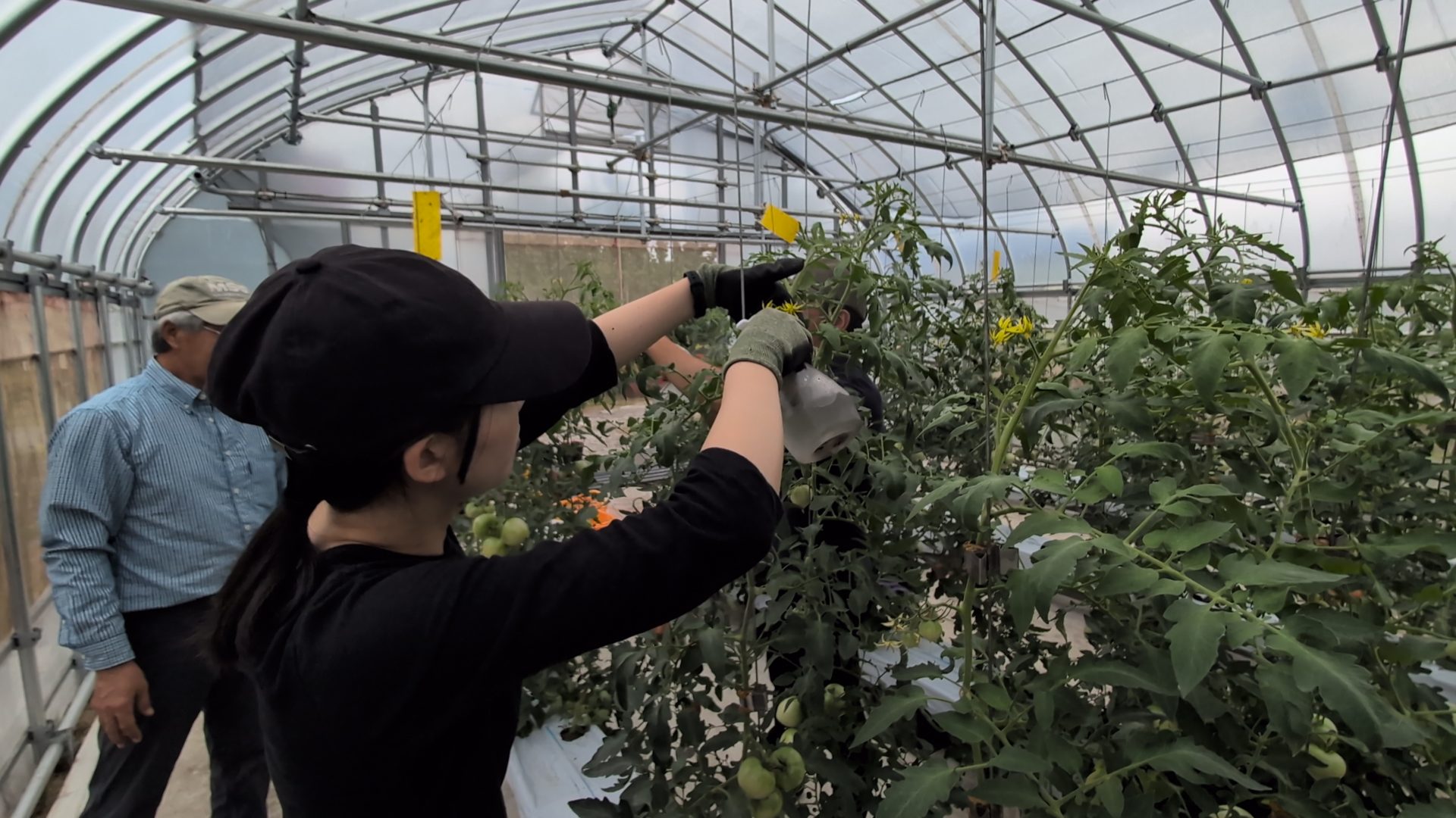 PXL_20250726_021739636