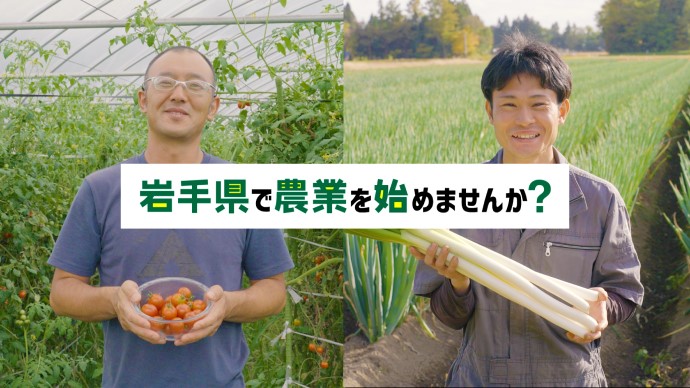 ミニトマト（一関市）と長ネギ（金ヶ崎町）