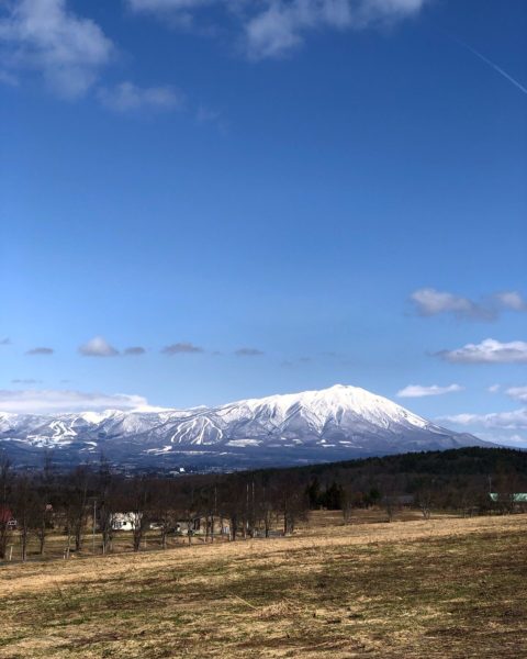 写真①