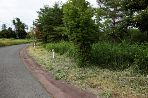 写真①