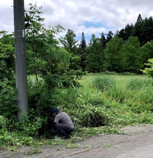 写真④