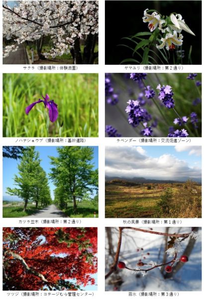 スクリーンショット 四季の写真