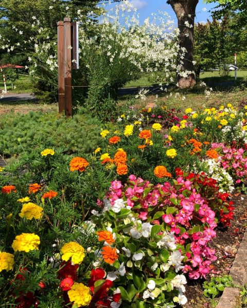 ⑰　070831　花壇