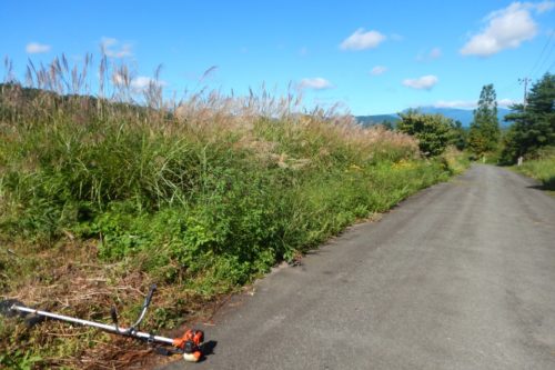 写真⑦