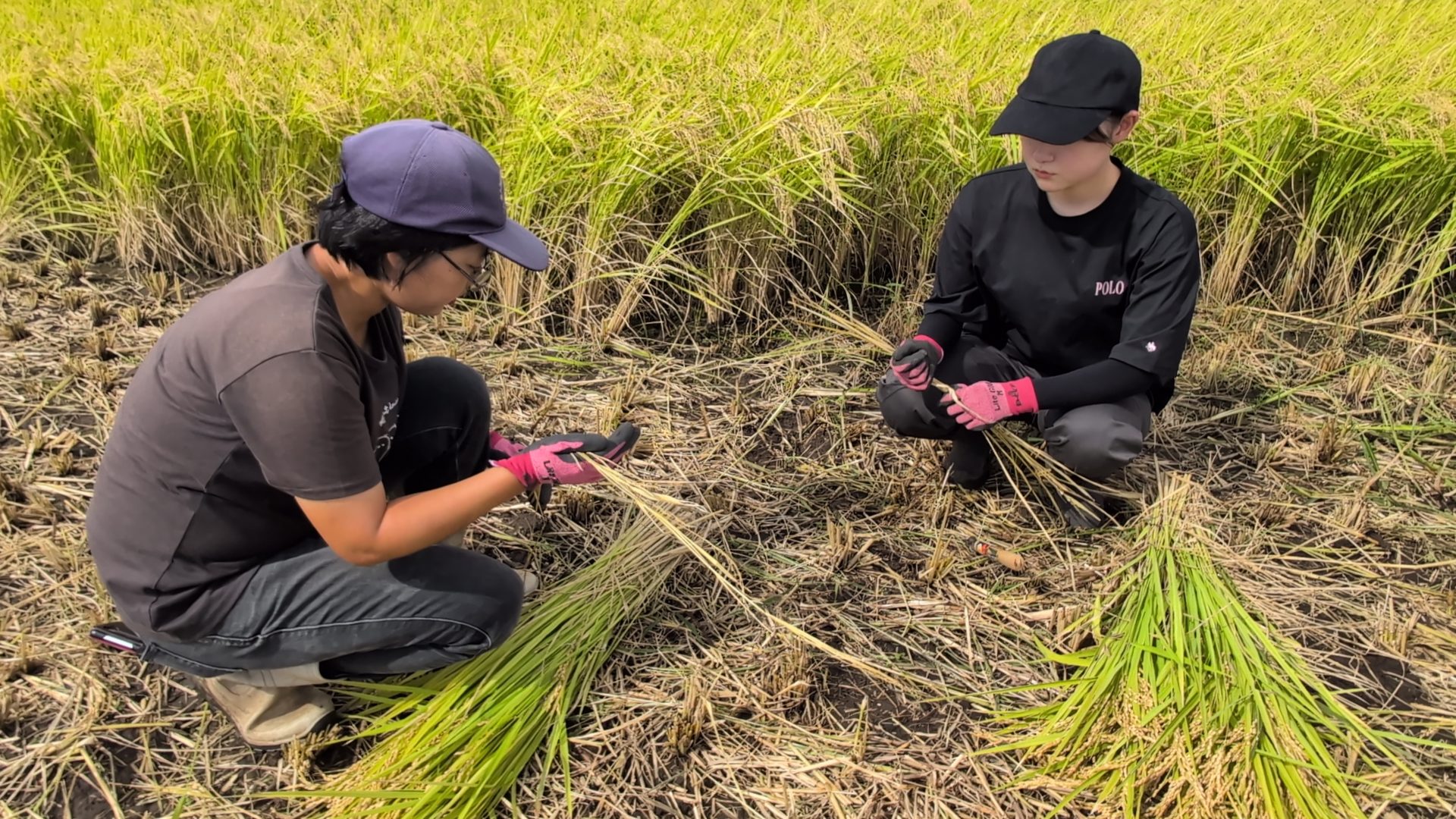 PXL_20250917_004231750