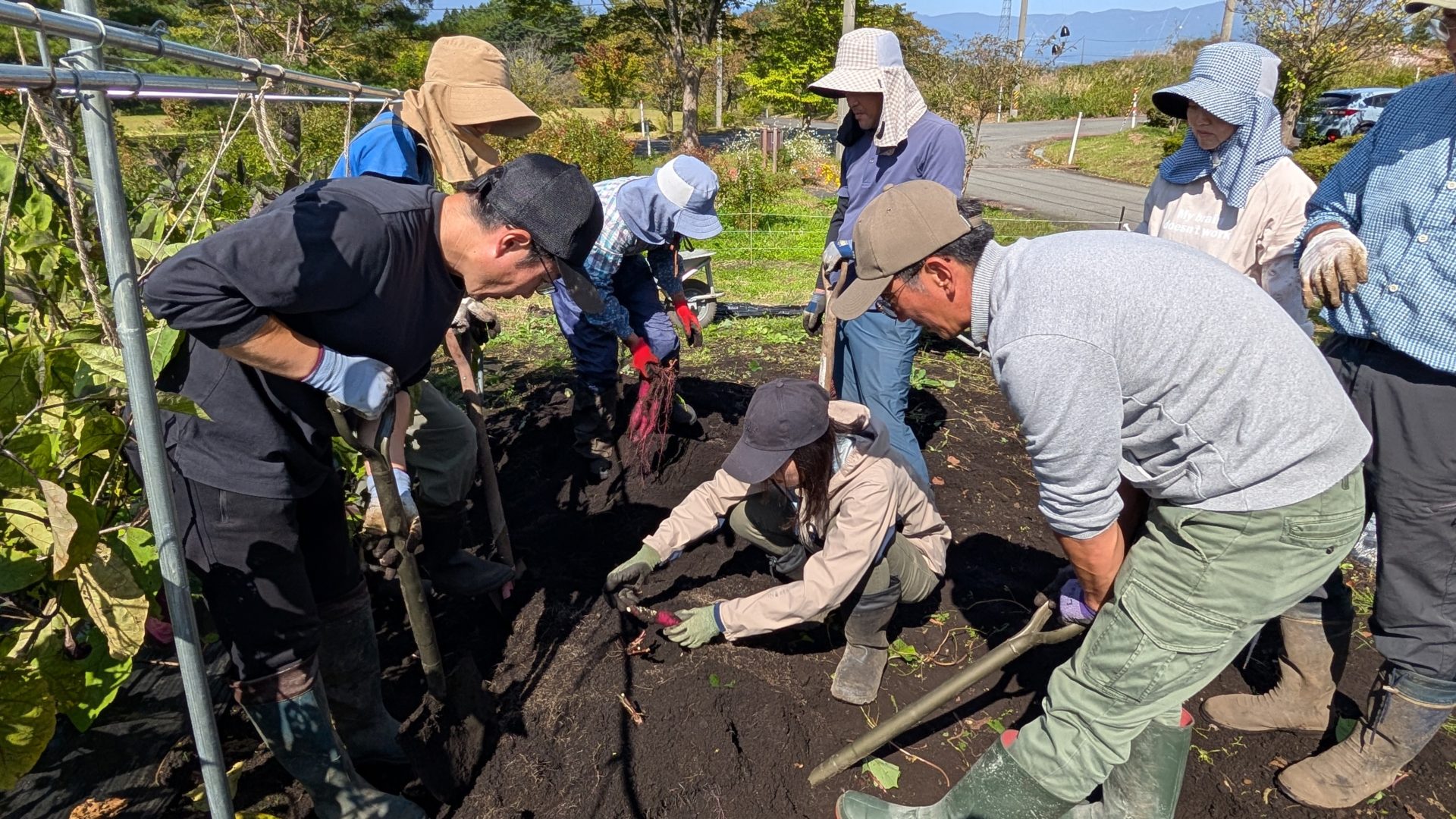 PXL_20251004_020358784.MP