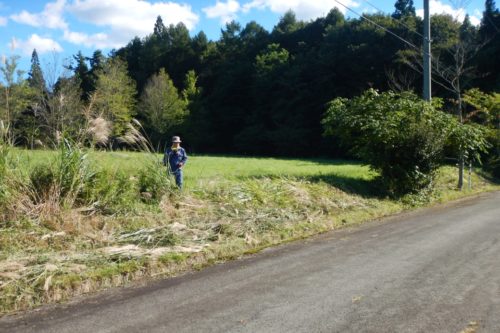 写真④