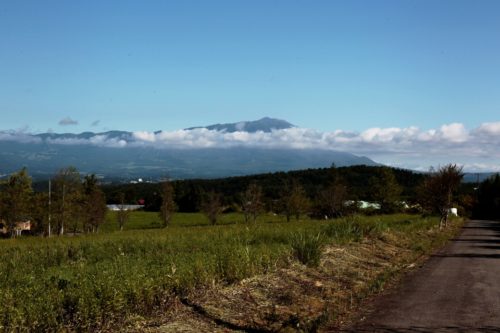写真④