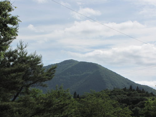⑤
