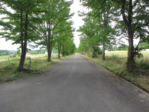 ⑫