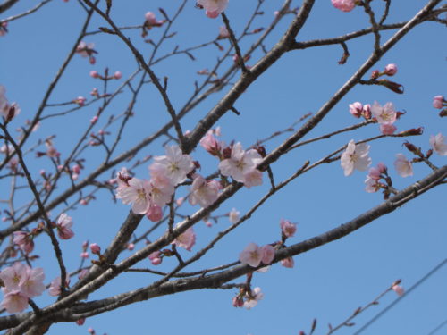 ③