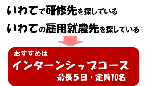 インターンシップコース