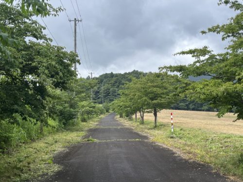 ⑤第4通り
